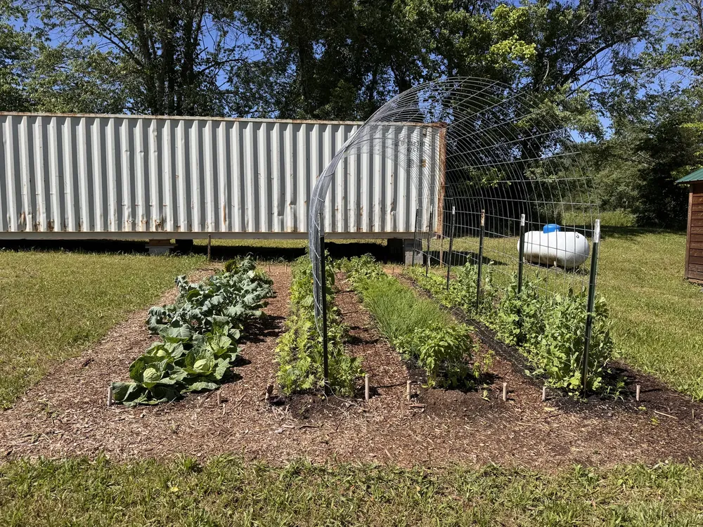 Wide view of the 15x20 Garden Plan layout, four beds with growing crops